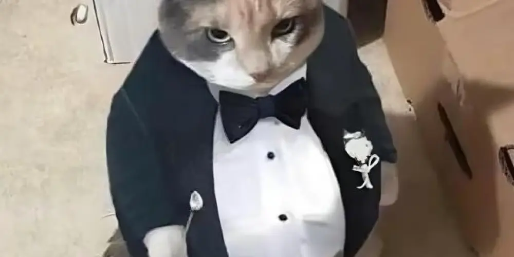 Imagem do grupo de WhatsApp ITS MOON 🌙