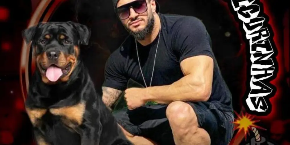 Imagem do grupo de WhatsApp 🇫ĬפϋᚱĬηЋαֆ є łĬηќֆ ლ(◉‿◉ ლ)