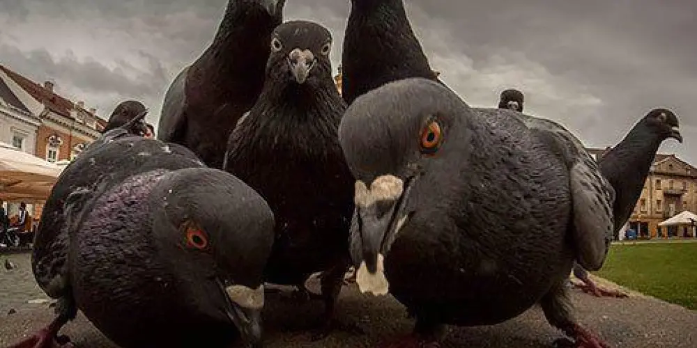 Imagem do grupo de WhatsApp °⍣•⊹٭„¸Ҝ'卂IZΞИ¸„٭⊹•⍣°