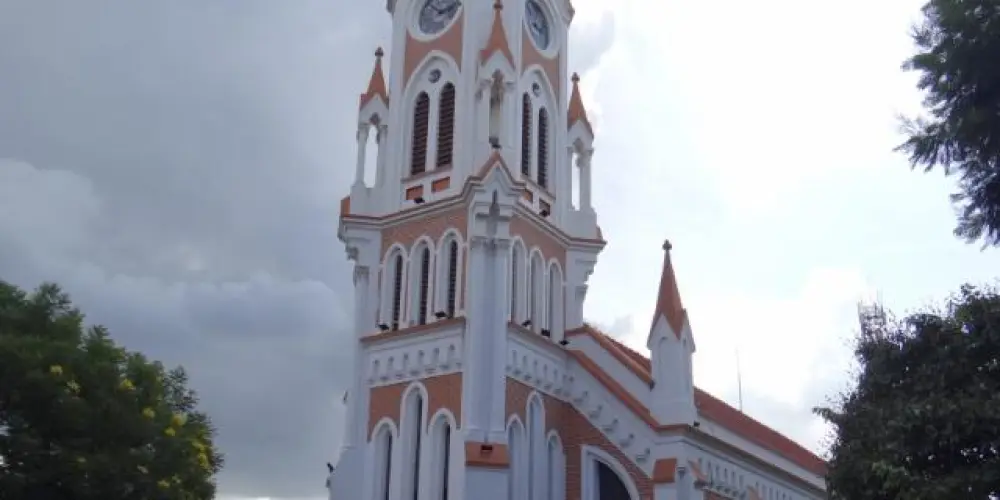 Imagem do grupo de WhatsApp Jardel 🌳