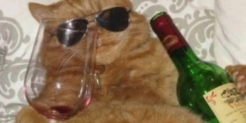 Imagem do grupo de WhatsApp 👹★  𝐀ⓣє𝔫𝓣𝓪𝕕𝐨ᔕ  ♩🎅