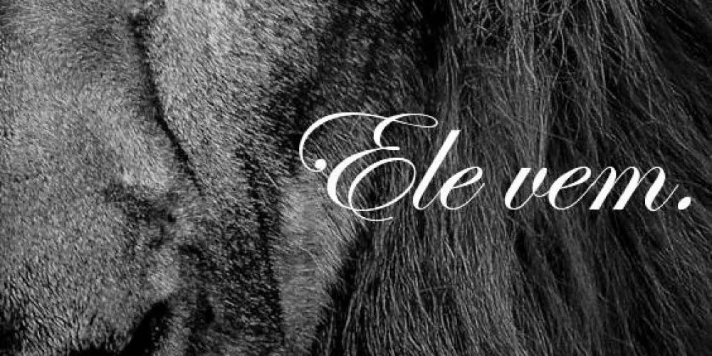 Imagem do grupo de WhatsApp Jesus ama