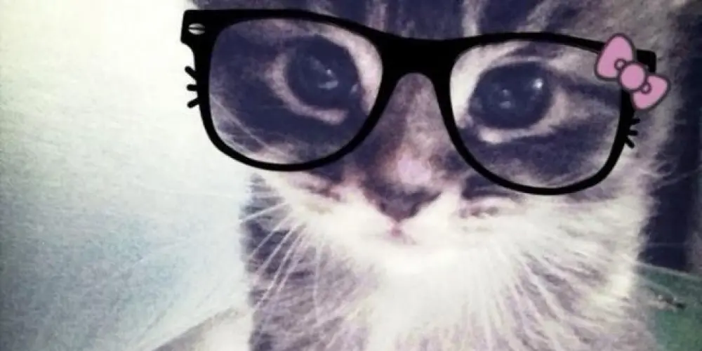 Imagem do grupo de WhatsApp J᥆g᥆᥉ ᥱ ᥲ꧑ιzᥲdᥱ᥉🕉️