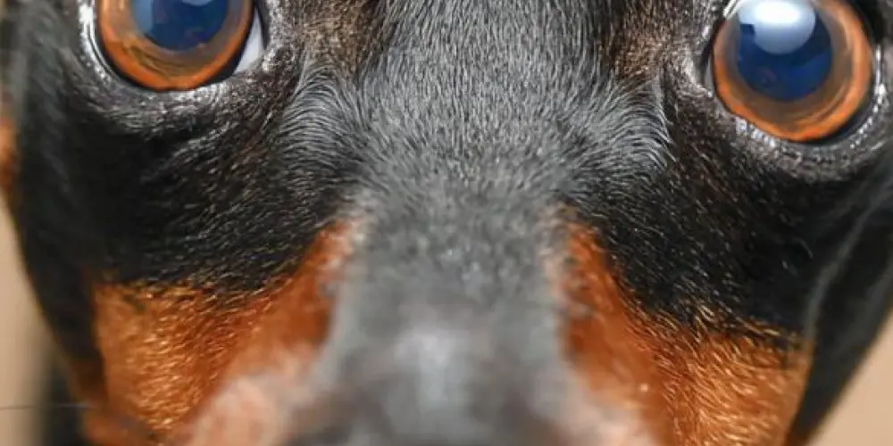 Imagem do grupo de WhatsApp JLK Stickers | Figurinhas & Memes