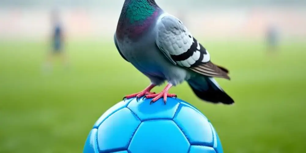 Imagem do grupo de WhatsApp ¿Jogar bola? 🐦‍⬛