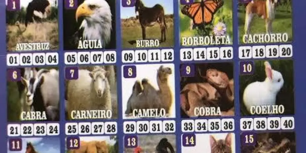 Imagem do grupo de WhatsApp Jogo do bicho federal 🤑