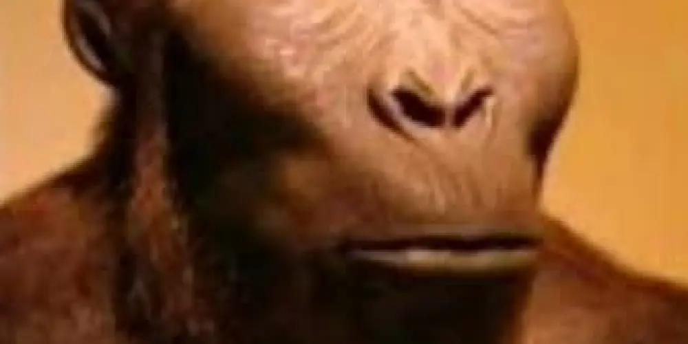 Imagem do grupo de WhatsApp Jojofags