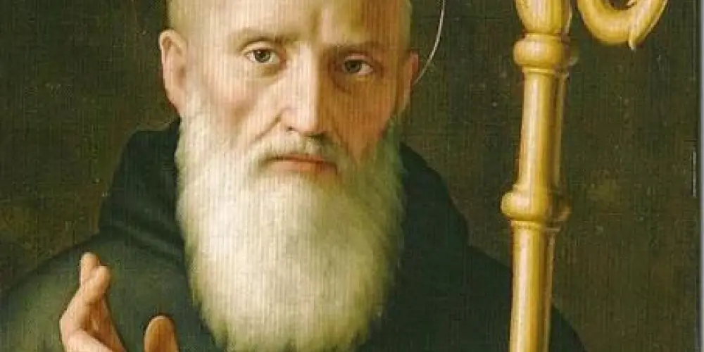 Imagem do grupo de WhatsApp Jovens Católicos🇻🇦