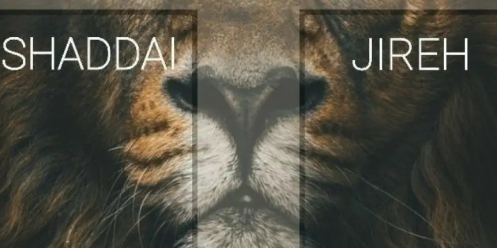 Imagem do grupo de WhatsApp Jovens fortes em Cristo