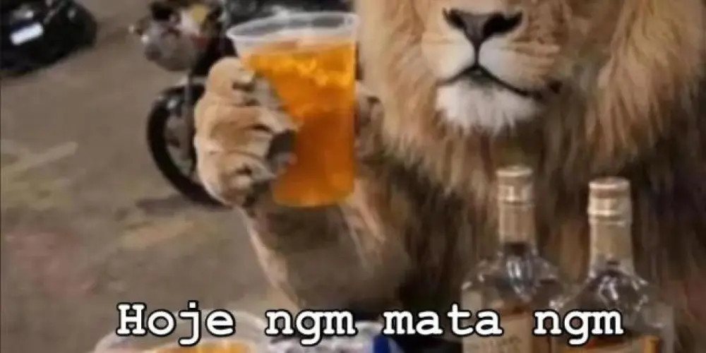 Imagem do grupo de WhatsApp ✌🏼😎J̾u̾n̾t̾o̾s̾ ̾e̾ ̾m̾i̾s̾t̾u̾r̾a̾d̾o̾s̾ ̾S̾P̾🥱💥🔥