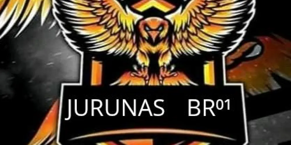 Imagem do grupo de WhatsApp JURUNAS    BR⁰¹