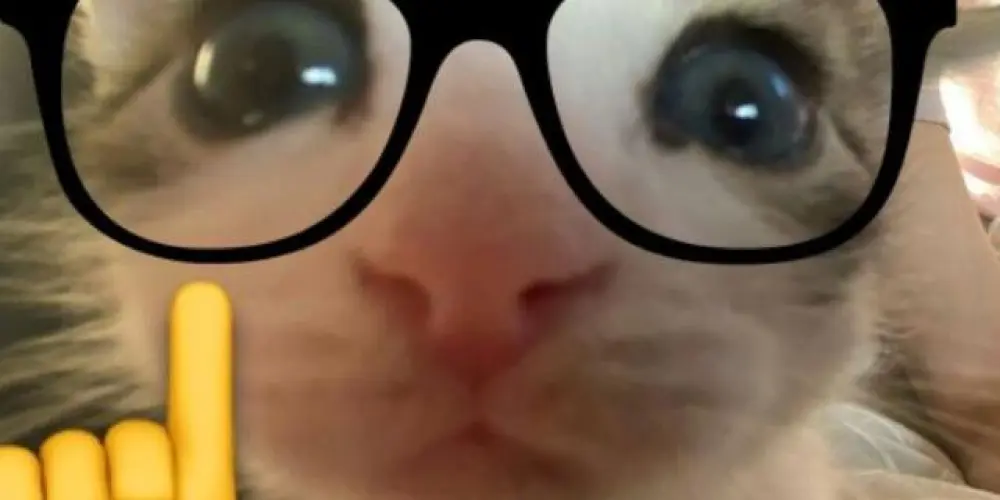 Imagem do grupo de WhatsApp Just for wankers   🌿🎀