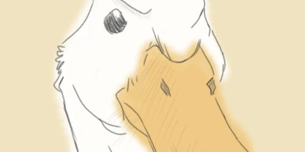 Imagem do grupo de WhatsApp ࿃ ࿏ ᏚКЕТᏟНᏟᎾЯЕ ༜ ༗༘