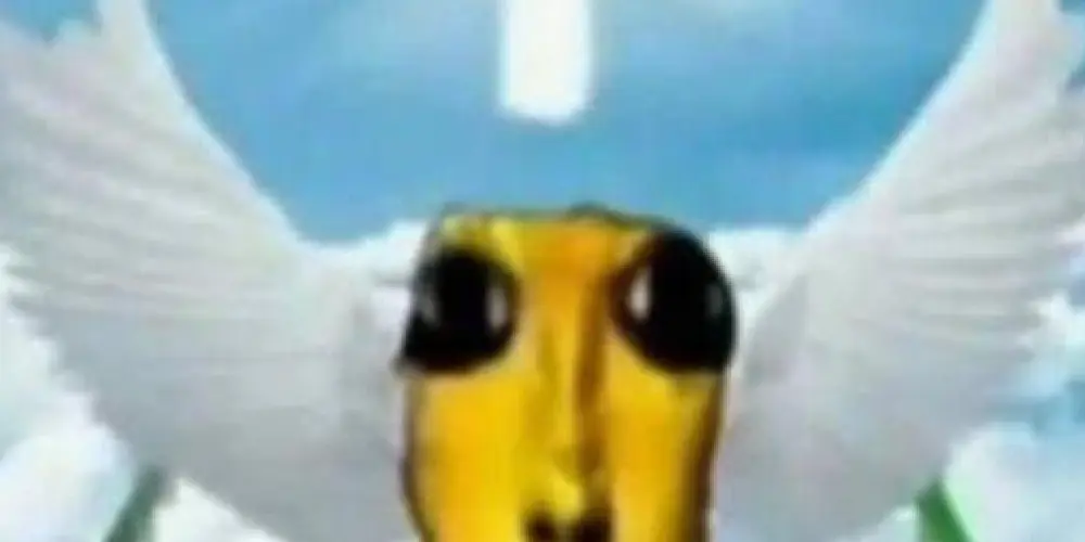 Imagem do grupo de WhatsApp KINOKO - memes e amizades