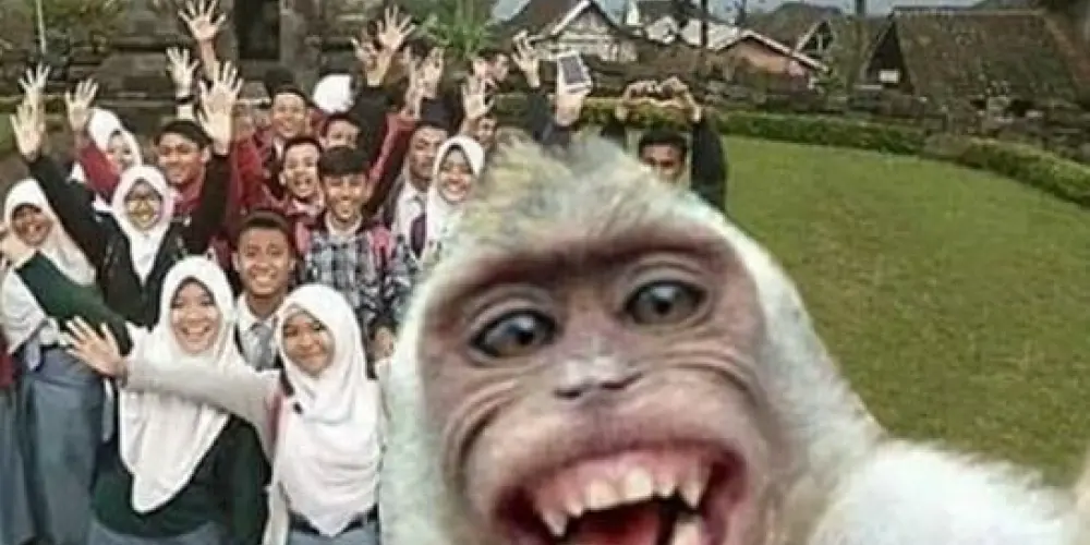 Imagem do grupo de WhatsApp Kit copo emtre amigos🥃