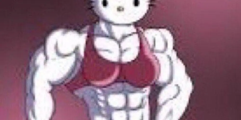 Imagem do grupo de WhatsApp ִֶָ𓂃 ࣪˖ ִֶָ  Kitty lovers ་༘࿐