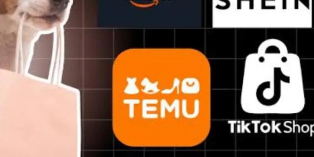 Imagem do grupo de WhatsApp 🤑KWAI,SHEIN👗 TICK TOCK⚽ TEMU👚