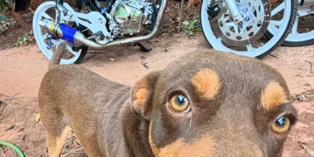 Imagem do grupo de WhatsApp KX FRIENDSHIPS ∆