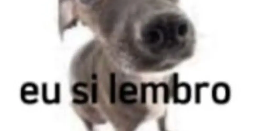 Imagem do grupo de WhatsApp ★᭄ɑლ¡ʑɑɗℰꜱ ❷❹ ɦ❍ℜɑꜱ ꦿ🔥᭄ꦿ