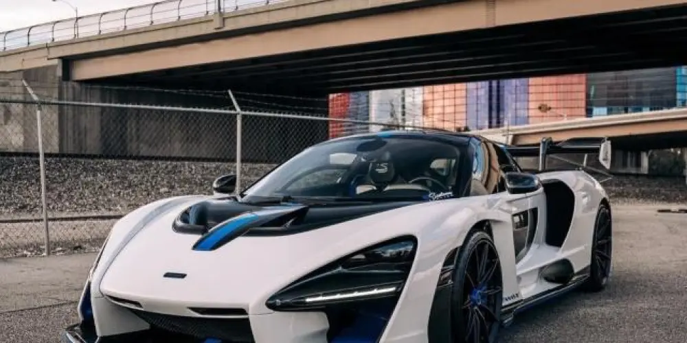 Imagem do grupo de WhatsApp 🌴░⃟⃛LÁ 𝑴𝑨𝑵𝑰𝑪𝑶̂𝑴𝑰𝑶¹⁵⁷░⃟⃛⏤͟͟͞͞🌴