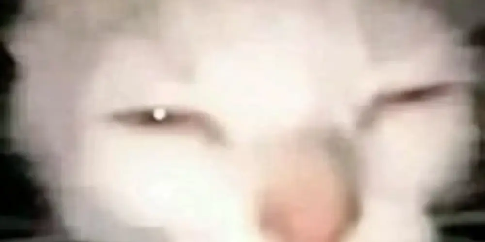 Imagem do grupo de WhatsApp La esquizofrenia 🥶☝️