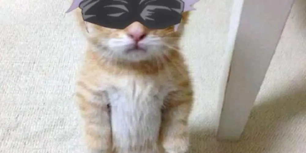 Imagem do grupo de WhatsApp La Zona de Stickers