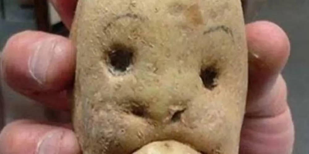 Imagem do grupo de WhatsApp Lado Obscuro da Batata Frita