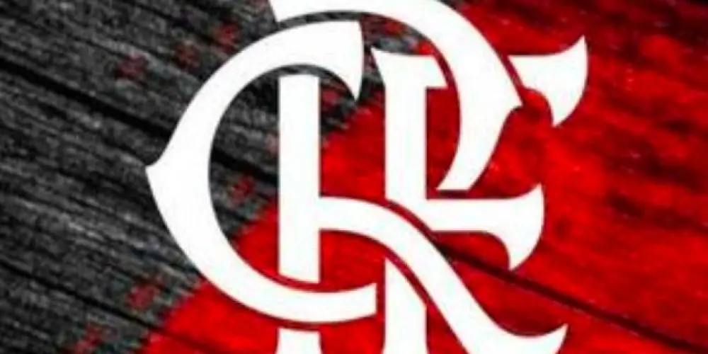 Imagem do grupo de WhatsApp Lances, gols e edits do Mengão ❤️🖤❤️🖤