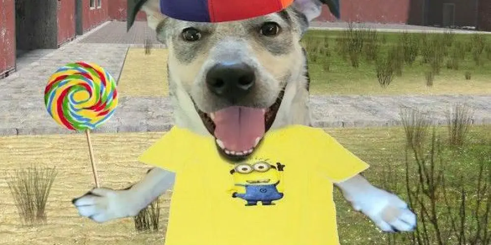 Imagem do grupo de WhatsApp las vegas 💯