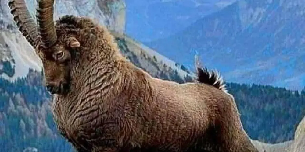 Imagem do grupo de WhatsApp Las Vegas