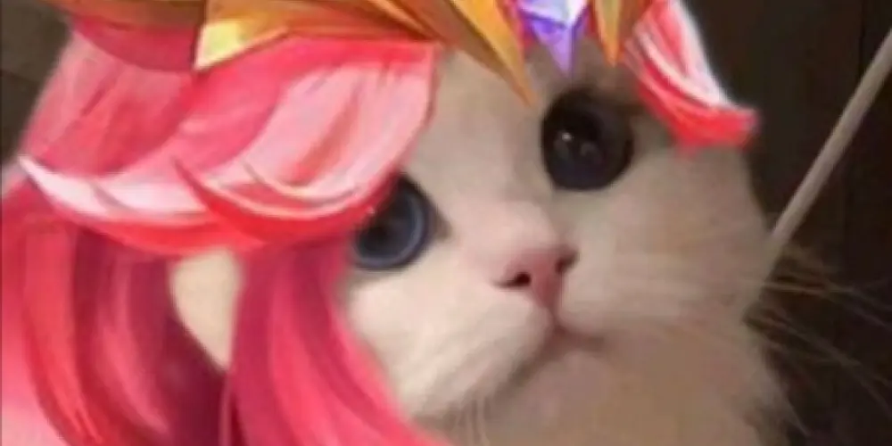 Imagem do grupo de WhatsApp League of Legends