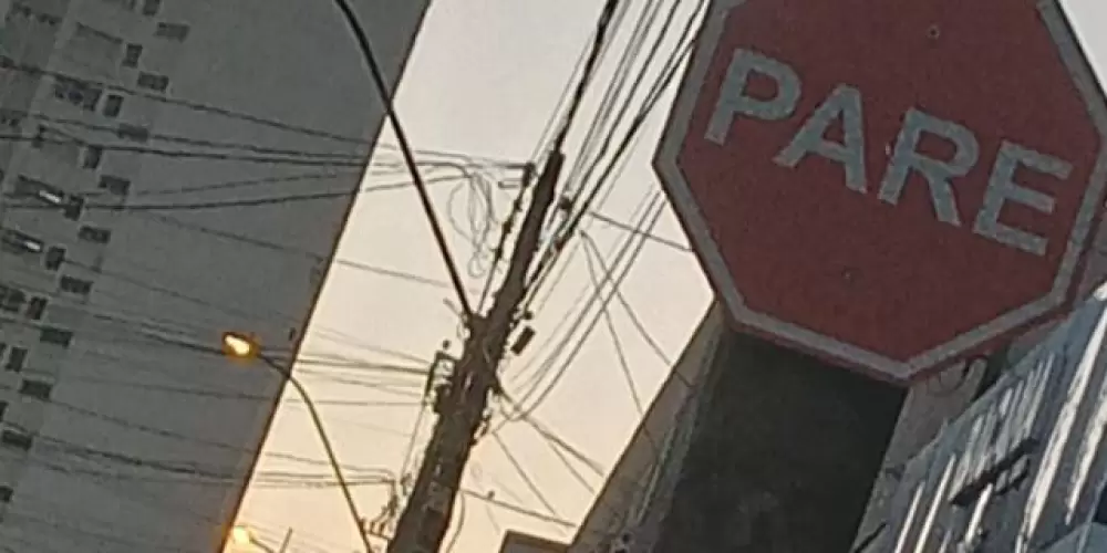 Imagem do grupo de WhatsApp 🦁Leãozinhos🦁