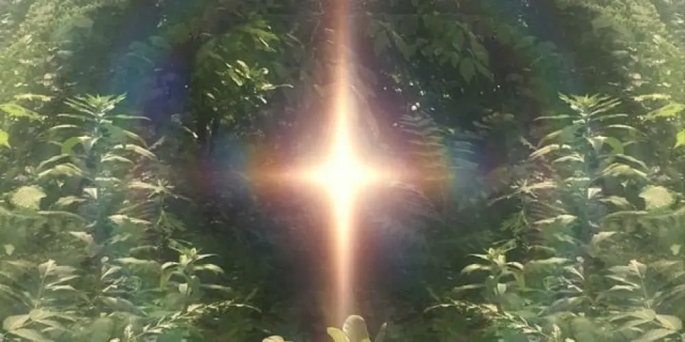 Imagem do grupo de WhatsApp LEI DA ATRAÇÃO - O DESPERTAR 🪷