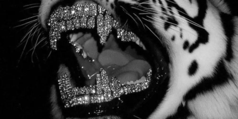 Imagem do grupo de WhatsApp Lei da suposição e amizade