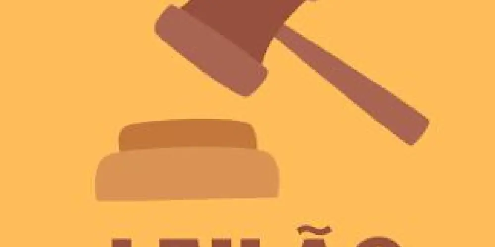 Imagem do grupo de WhatsApp Leilão Cariri e Região 💼⚙️