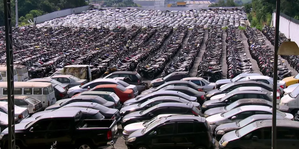 Imagem do grupo de WhatsApp LEILÃO SAO PAULO