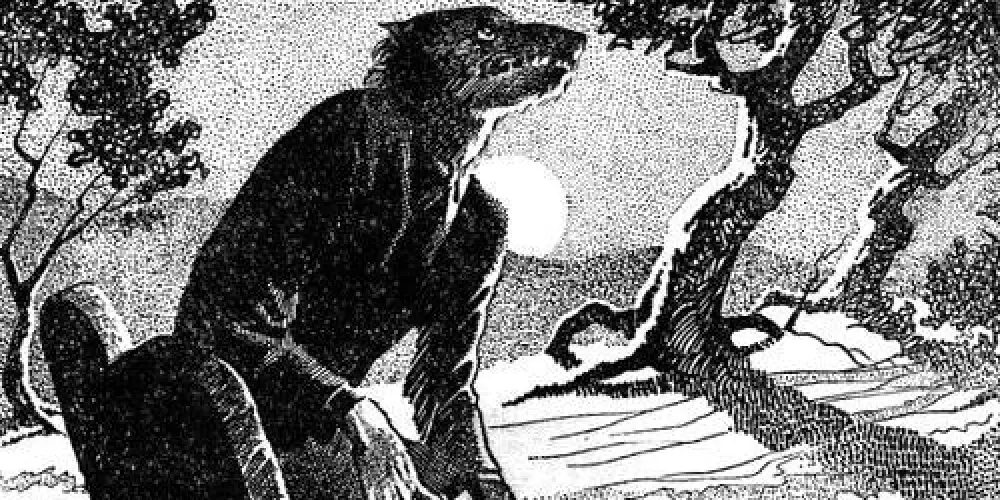 Imagem do grupo de WhatsApp ⏳Lendas e contos ⌛