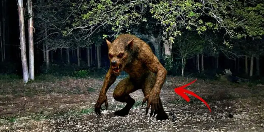 Imagem do grupo de WhatsApp LENDAS PARANORMAL YT