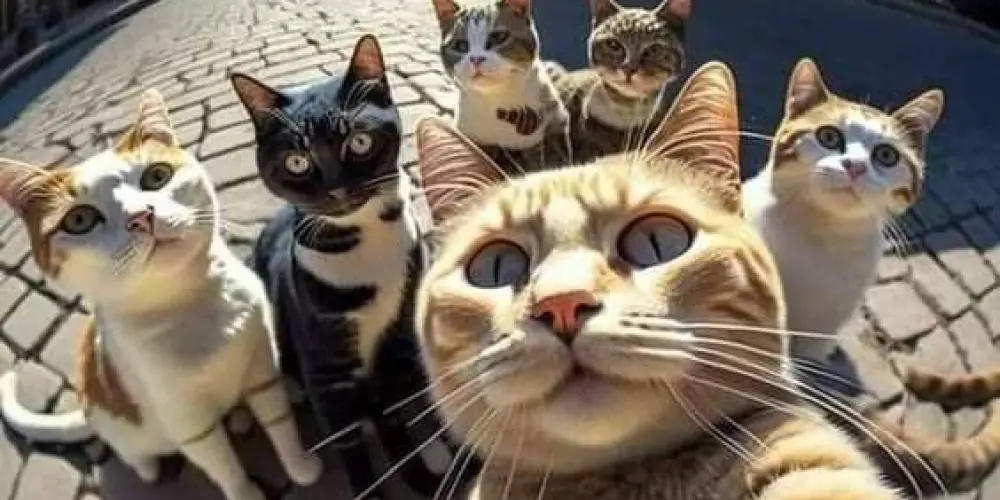 Imagem do grupo de WhatsApp Leonardo júnior