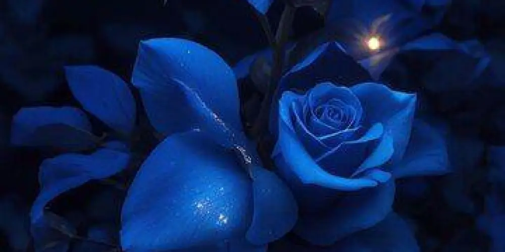 Imagem do grupo de WhatsApp Ł€ŞβIĆΔŞ ŞØβ€ŘΔŇΔŞ