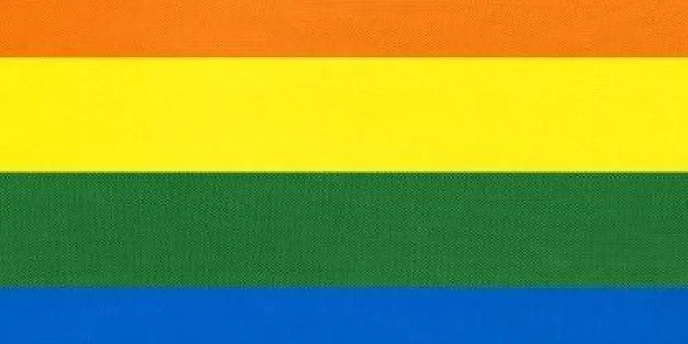 Imagem do grupo de WhatsApp LGBT🏳️‍🌈