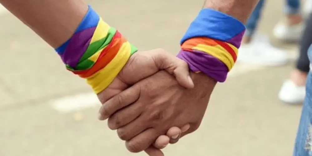 Imagem do grupo de WhatsApp LGBT CATAS E GATONAS BRASÍLIA