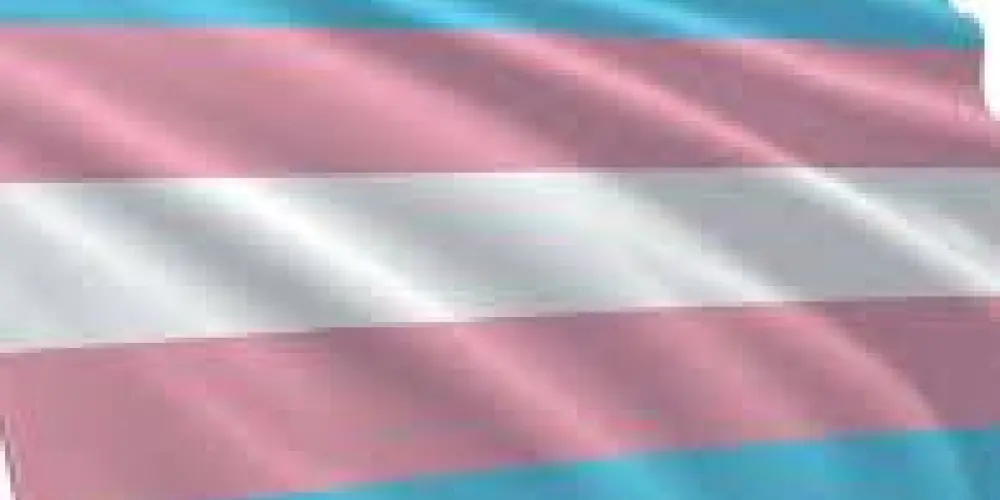 Imagem do grupo de WhatsApp 😍LGBT Travestis e Afeminados😍