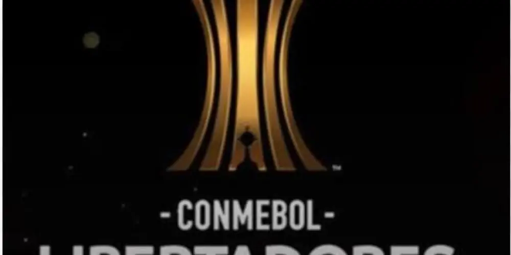 Imagem do grupo de WhatsApp Libertadores