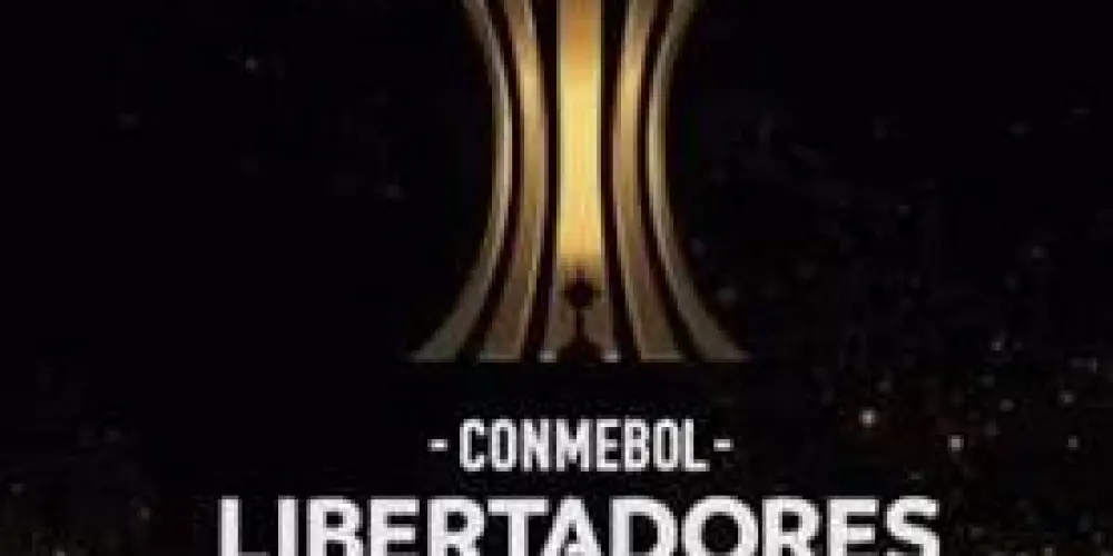 Imagem do grupo de WhatsApp LIBERTADORES