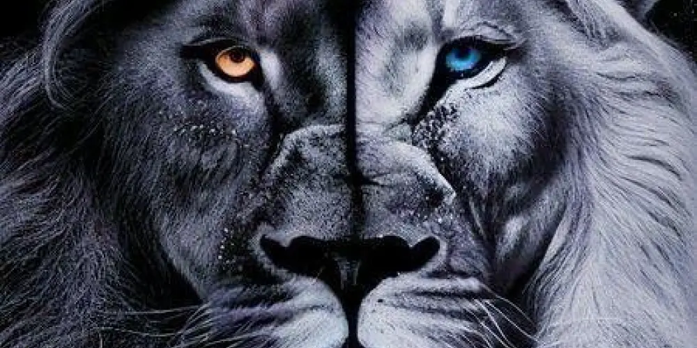 Imagem do grupo de WhatsApp Liderança