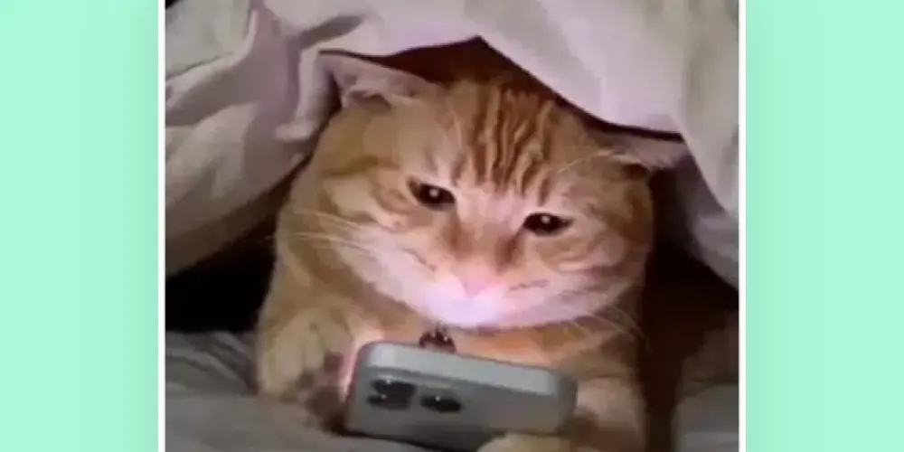 Imagem do grupo de WhatsApp Ligações aleatórias😂😂😂 entre os amigos📞