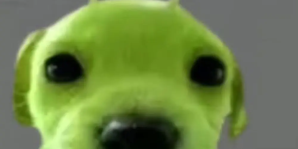 Imagem do grupo de WhatsApp Limaxx estore