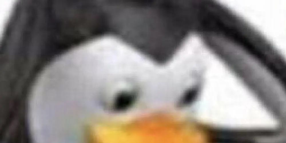 Imagem do grupo de WhatsApp 💯 limites