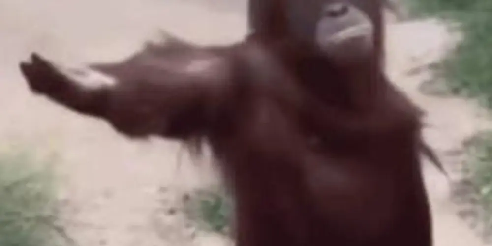 Imagem do grupo de WhatsApp 💯LIMITES²